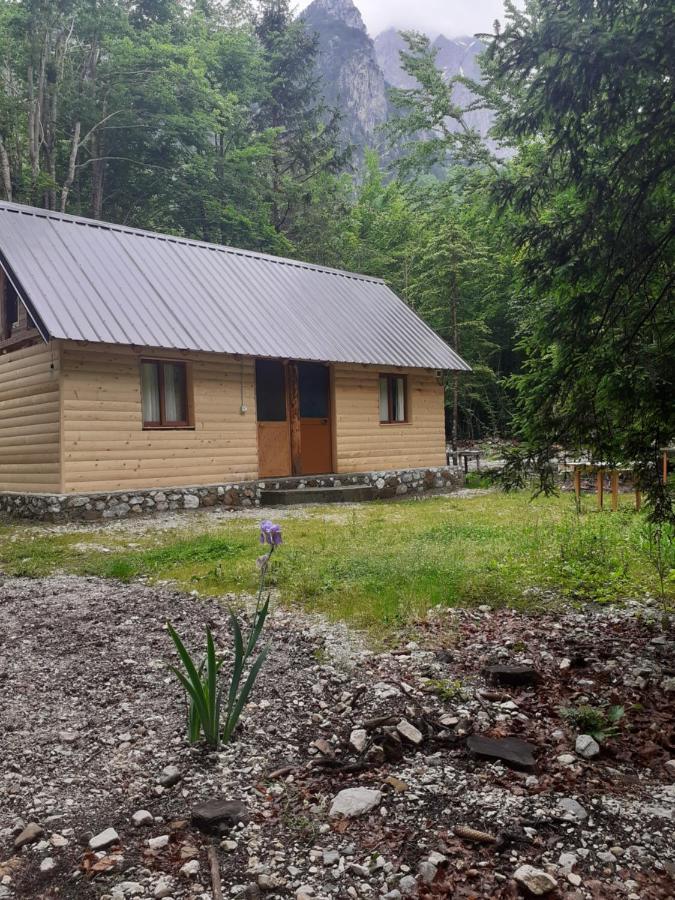 Guesthouse Dioni Валбона Экстерьер фото