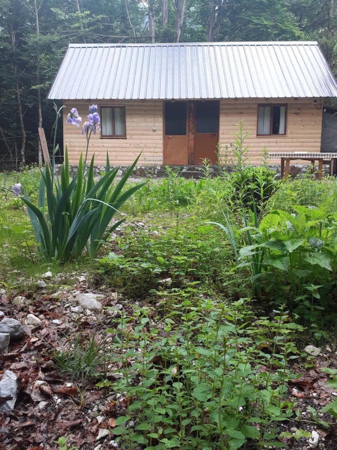Guesthouse Dioni Валбона Экстерьер фото